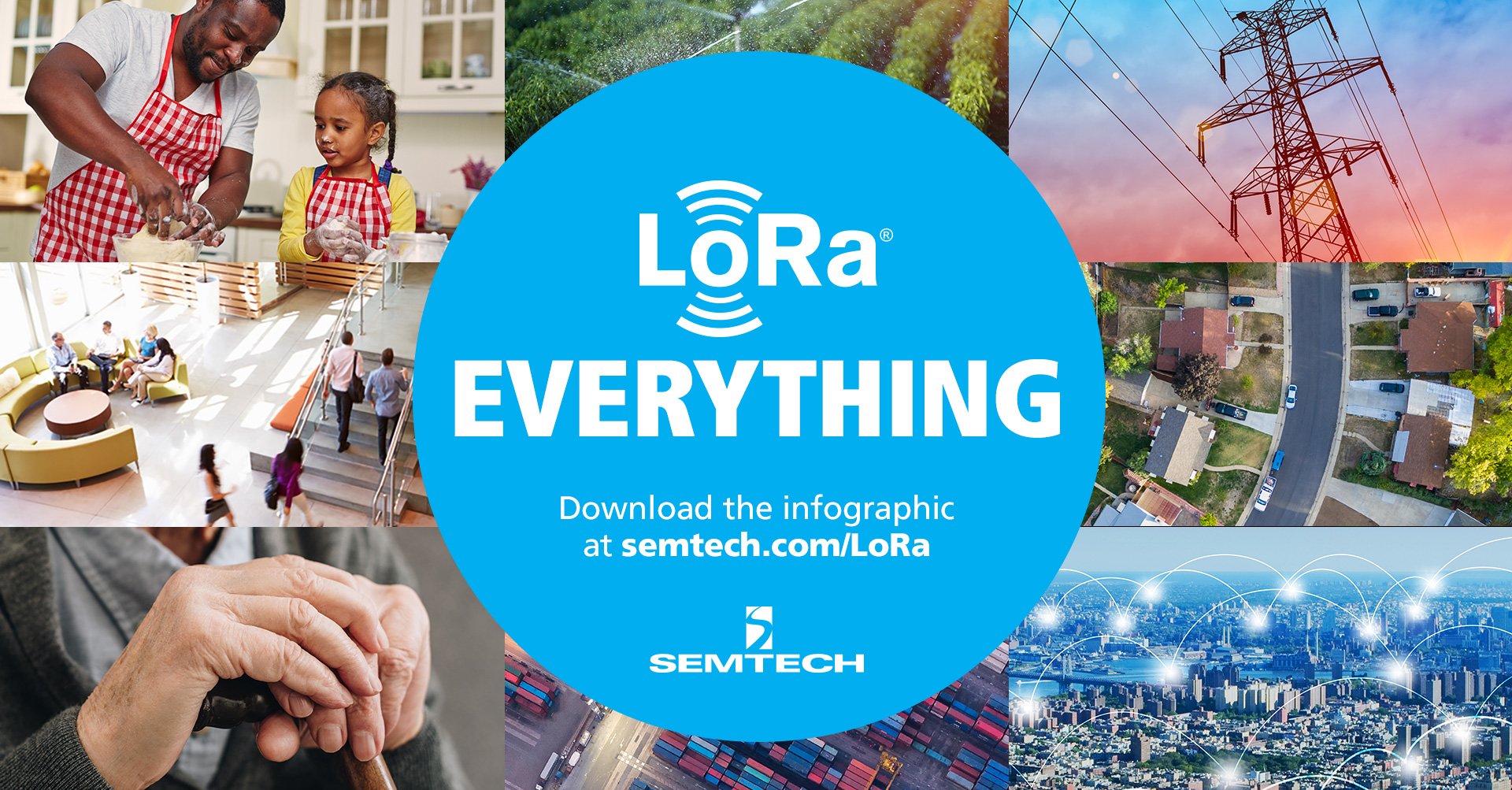 LoRa Everything Infographic